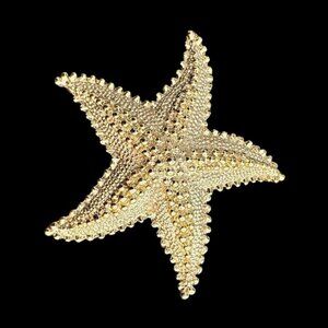 Vintage Gold Tone Starfish Brooch Pin Relief Details Costume Jewelry